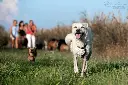 niko_risultato-1.webp