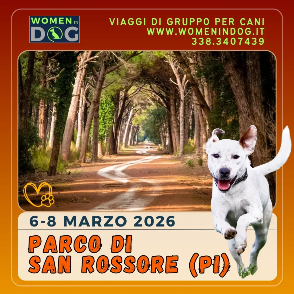 6-8 marzo '26 San Rossore (PI) - a partire da 300€ a persona (Ceno in struttura e pagherò all'arrivo)