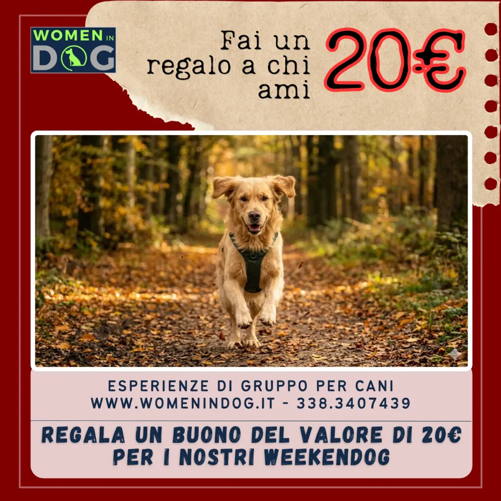 Buono Regalo per un WeekenDOG