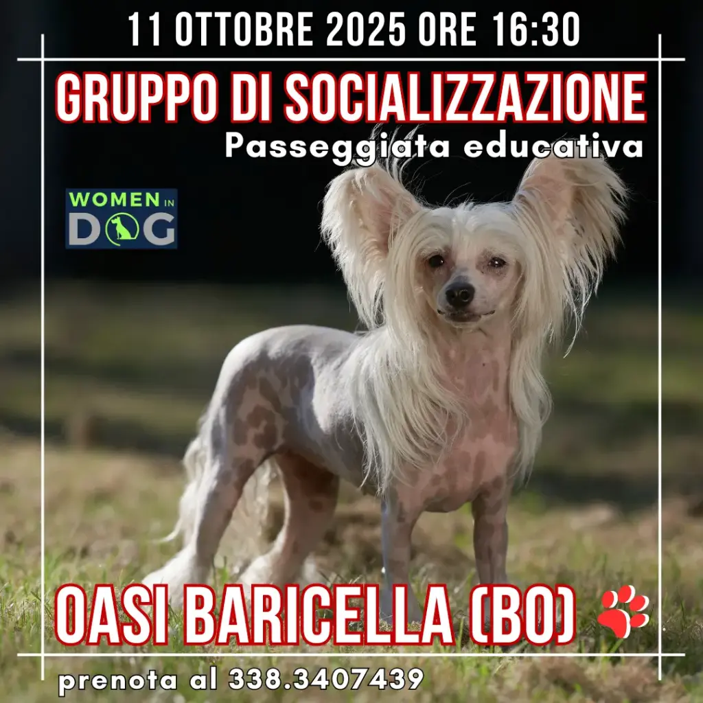 Socializzazione 11/10/25