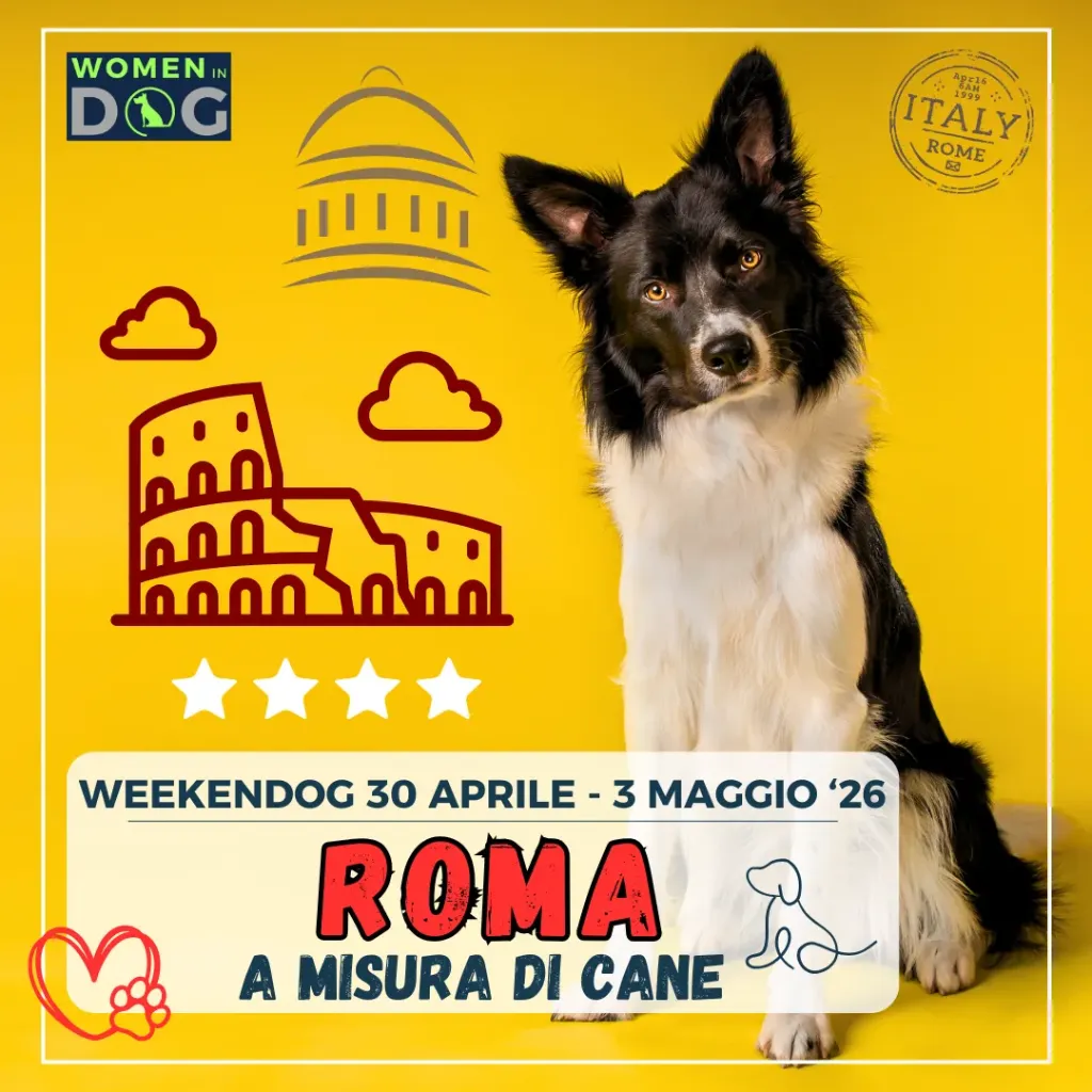 Prenotazione Roma 30 aprile - 3 maggio '26