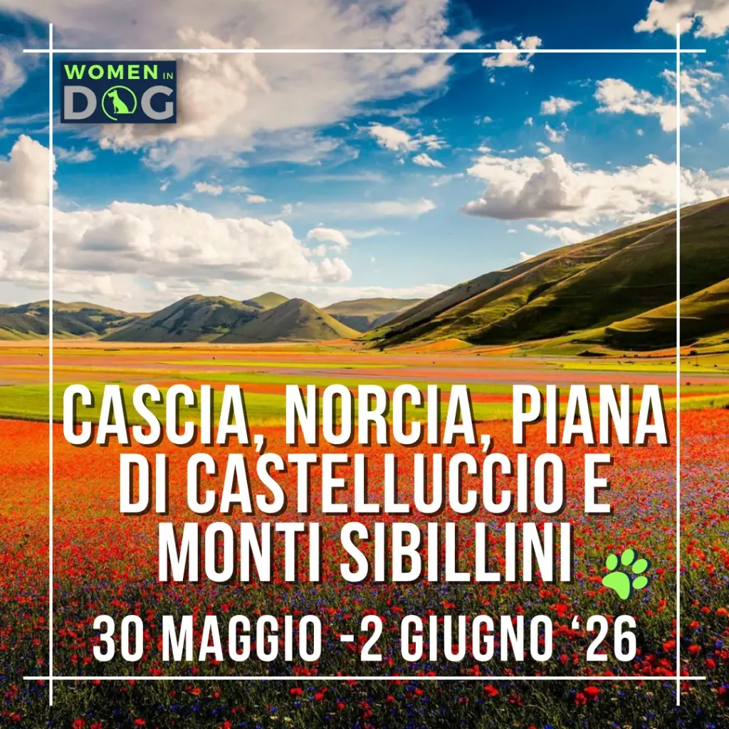 Piana di Castelluccio, Monti Sibillini, Norcia e Cascia 30 maggio - 2 giugno '26