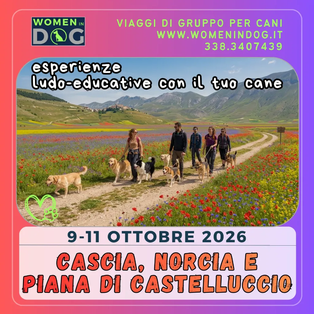 Piana di Castelluccio, Monti Sibillini, Norcia e Cascia 9-11 ottobre '26 (1)