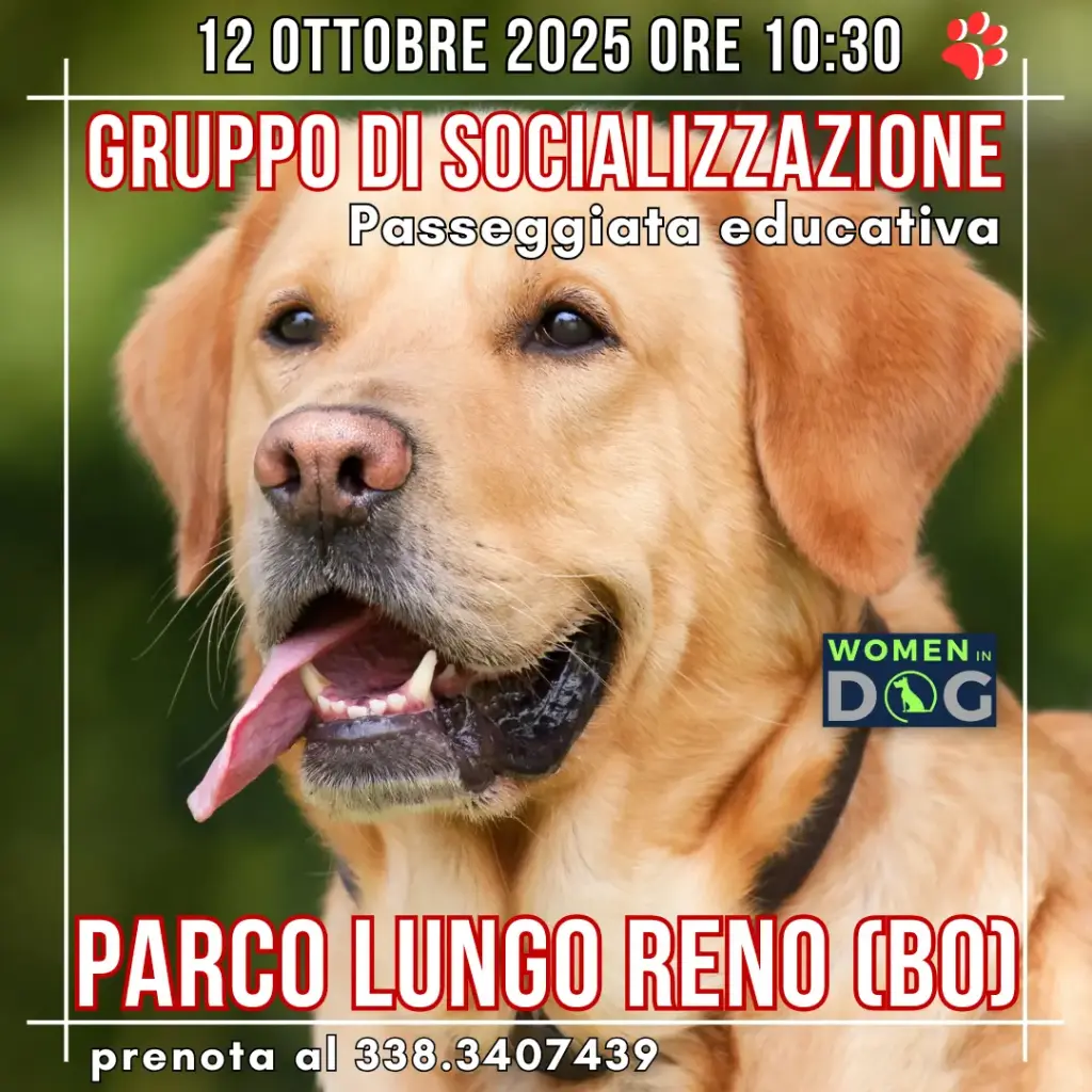 Socializzazione 12/10/25