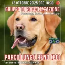 Socializzazione 12/10/25