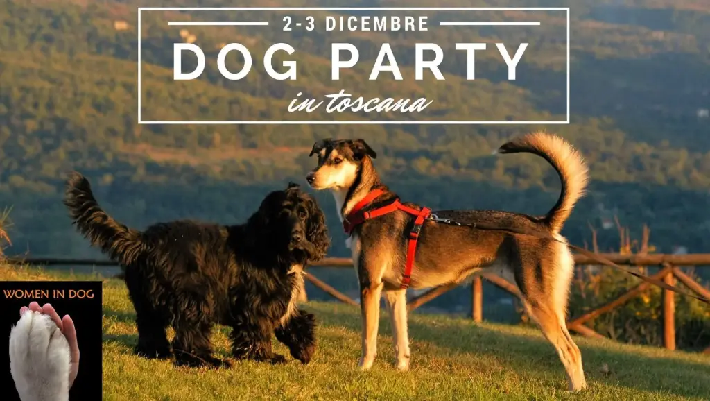Weekend Arezzo. 2-3 dicembre.                                                  Costo a persona+cane 350€                             
