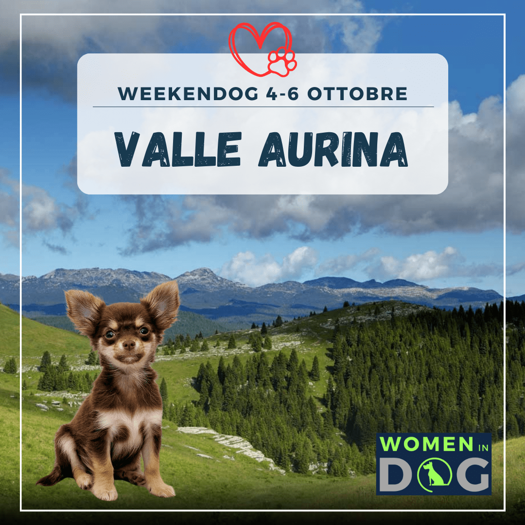 Valle Aurina